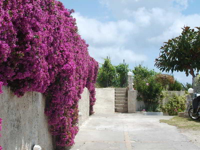Villa Natalina Forio  Exterior photo